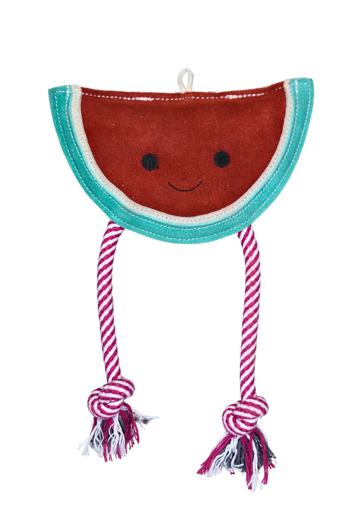 Wally The Watermelon Dog Toy