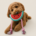 Wally The Watermelon Dog Toy