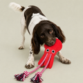 Sid the Squid Dog Toy