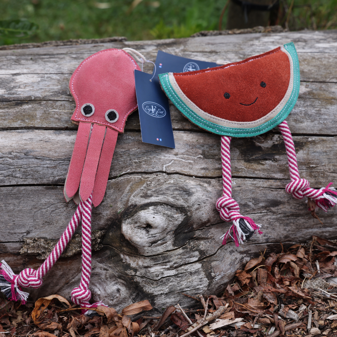 Wally The Watermelon Dog Toy